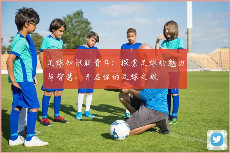 足球知识新青年：探索足球的魅力与智慧，开启你的足球之旅