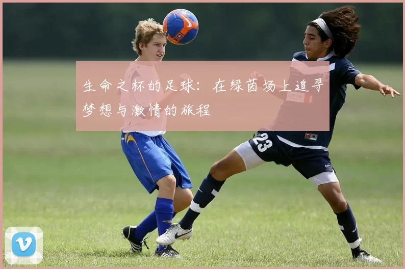 生命之杯的足球：在绿茵场上追寻梦想与激情的旅程