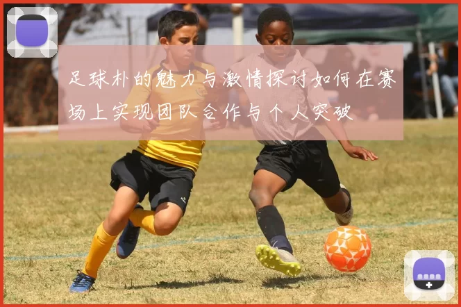 足球朴的魅力与激情探讨如何在赛场上实现团队合作与个人突破