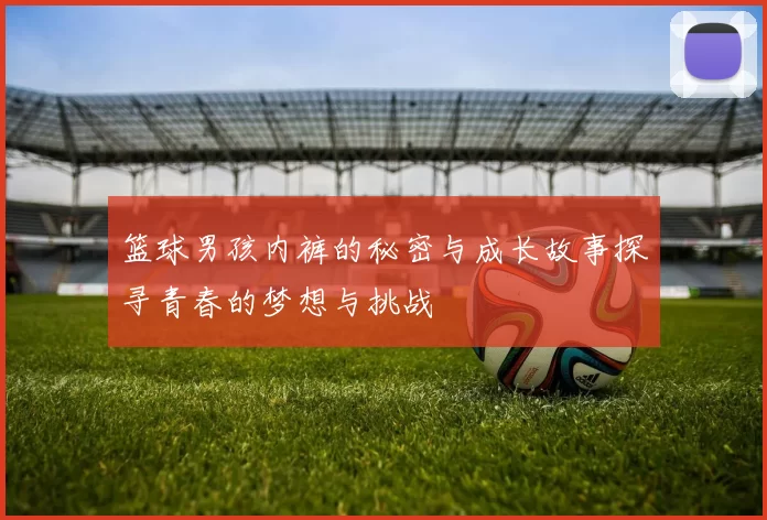 篮球男孩内裤的秘密与成长故事探寻青春的梦想与挑战